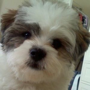 Meet your Posher, Beth